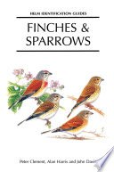 Finches and Sparrows cover