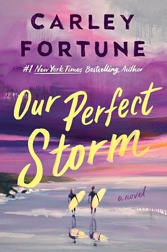 Our Perfect Storm cover